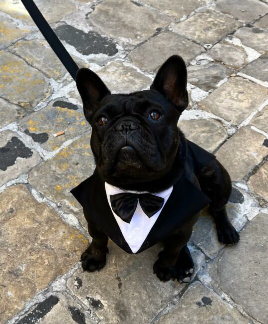matrimonio-michele-veronica-4-537x650