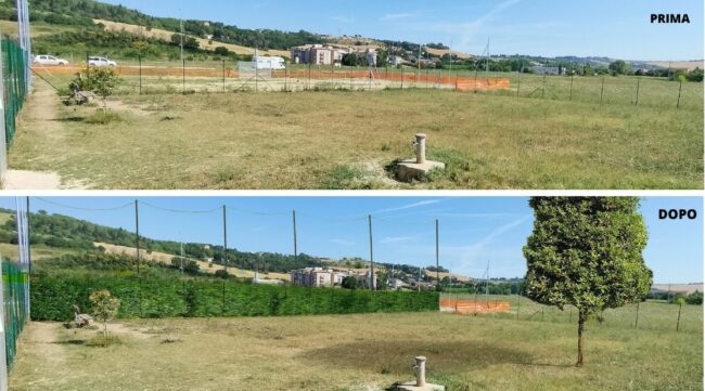 sgambatoio-Piediripa-e1663075961653-650x361