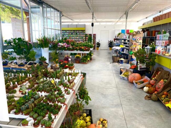 Hortus-Trade-Vivai-e-Garden-1-650x488