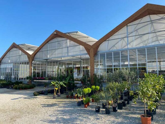 Hortus-Trade-Vivai-e-Garden-3-650x488