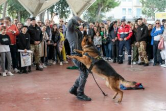 PH-Luigi-GasparroniFLV_8504-325x217