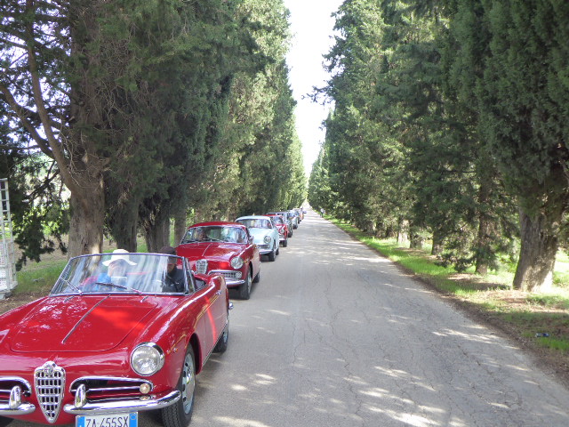 Raduno-Alfetta-Scuderia-Marche-SantAngelo-in-Pontano-5