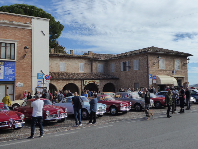Raduno-Alfetta-Scuderia-Marche-SantAngelo-in-Pontano-7