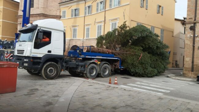 albero-natale-san-severino-2-650x366