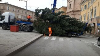 albero-natale-san-severino-3-325x183