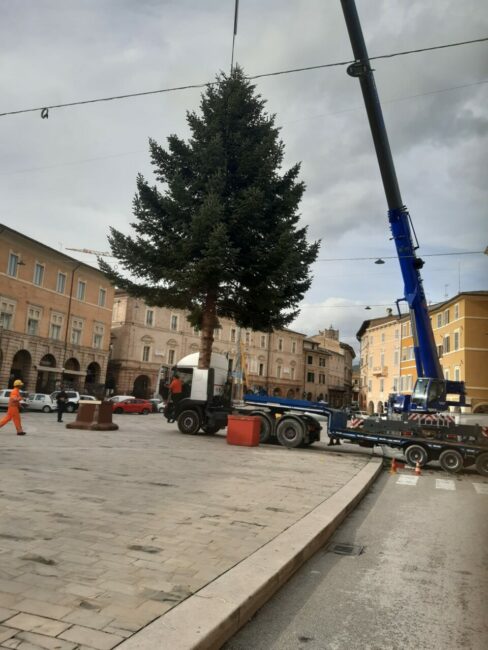albero-natale-san-severino-4-488x650