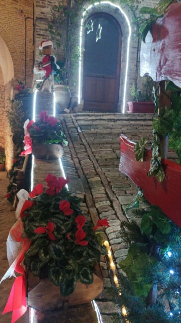 allestimento-2-365x650