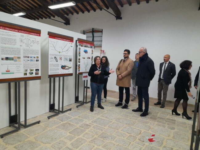 patto_amicizia-1-650x488