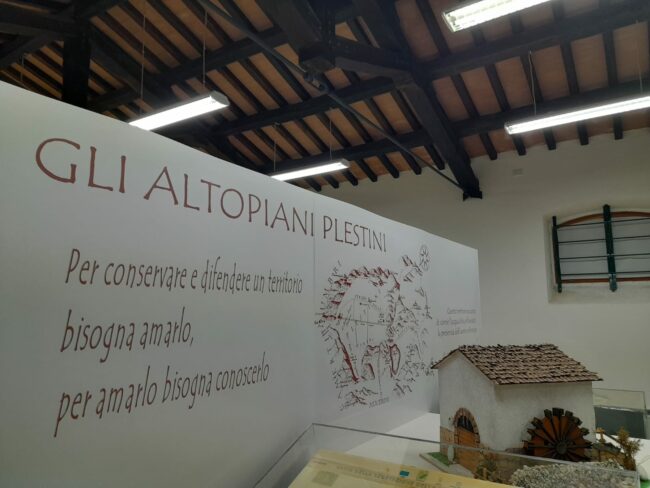 patto_amicizia-6-650x488