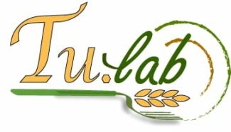 Tu.Lab_