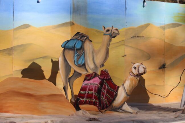 presepe-acquacanina-10-650x433