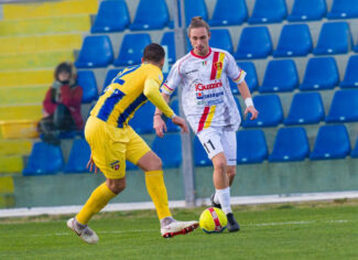 Senigagliesi-