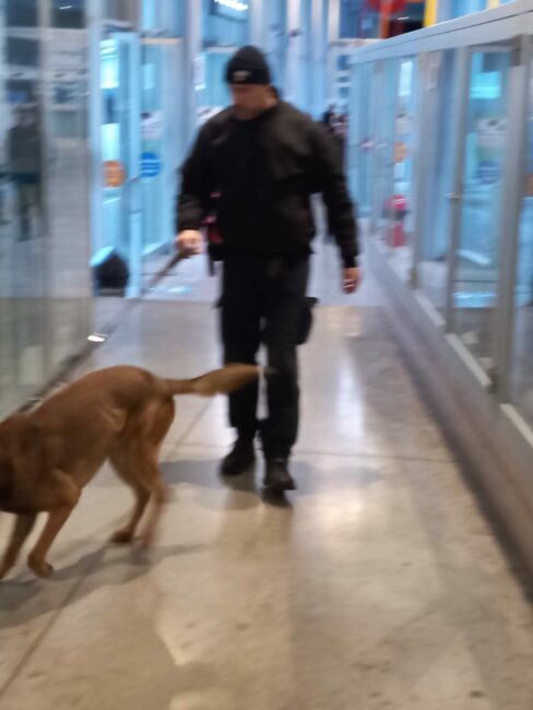 controlli-carabinieri-terminal-liceo-artistico-macerata-ipsia-corridonia-14-488x650
