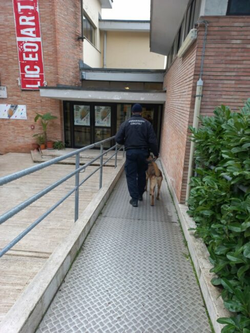 controlli-carabinieri-terminal-liceo-artistico-macerata-ipsia-corridonia-7-488x650
