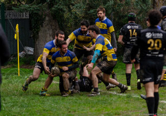 senior-rugby