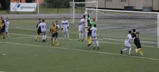 Autogol