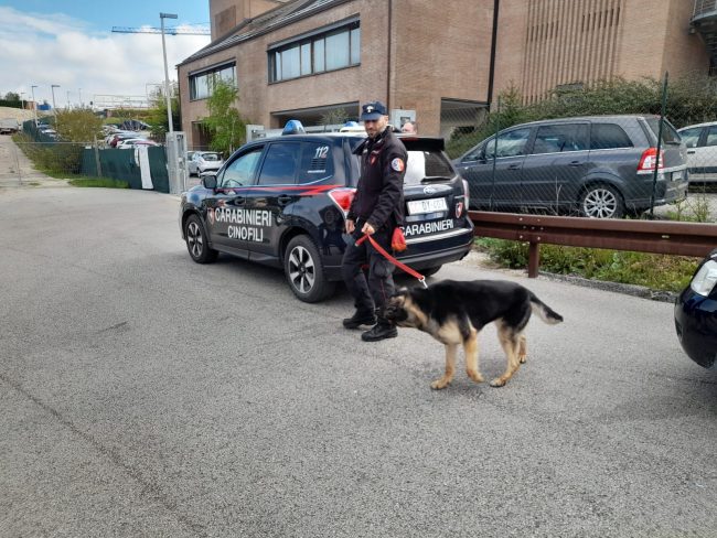 carabinieri-controlli-cane-antidroga-2-650x488