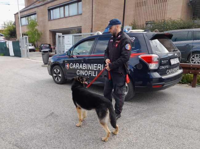 carabinieri-controlli-cane-antidroga-3-e1681923403408-650x486