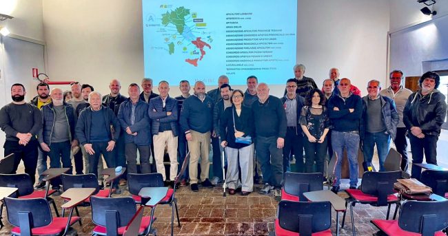 consorzio-apistico