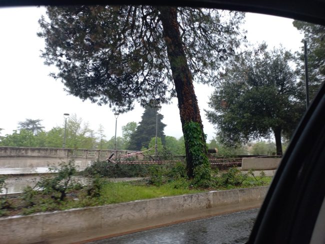 maltempo-macerata4-650x488