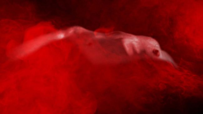 In-Volupta-Mors-4k-4-0-00-10-10-650x366
