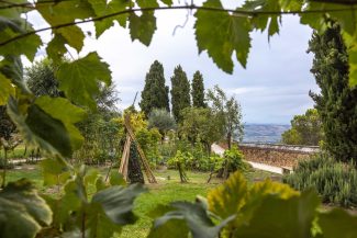 Orto-sul-Colle-dellInfinito-Recanati-MC-Foto-Dario-Fusaro-C-FAI