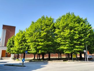 San-Severino-giardini-scuola-elementare