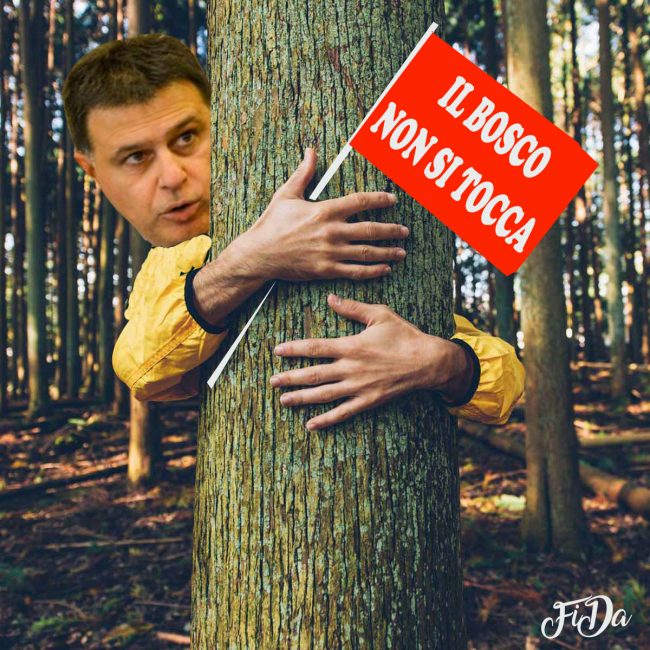 001-IL-BOSCO-NON-SI-TOCCA-650x650