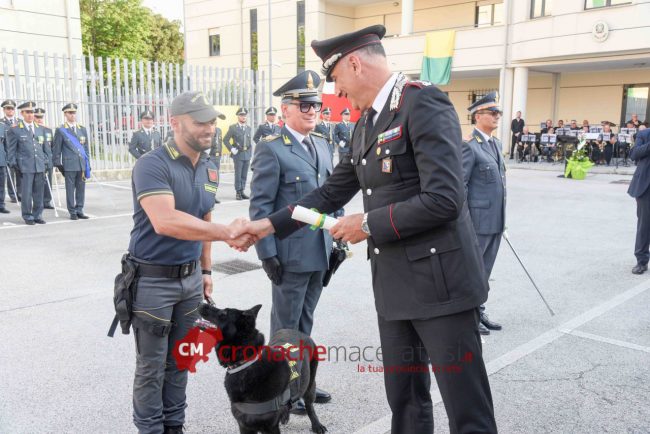 GF_Festa_FF-4-650x434