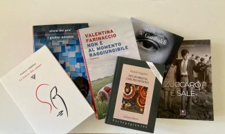 Libri-finalisti-premio-letterario-Dolores-Prato-Citta-di-Treia-2-325x194