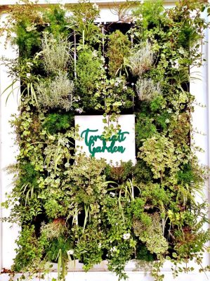 Torquati-Garden-a-Piediripa-di-Macerata-1-299x400