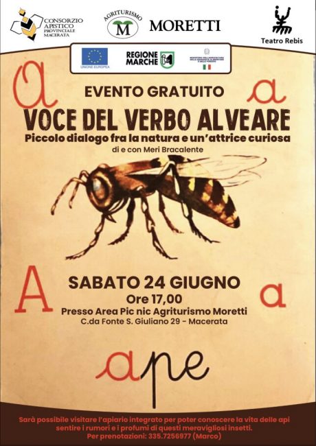 api_moretti