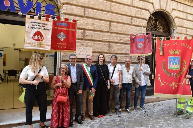 festa_avis-2-650x433