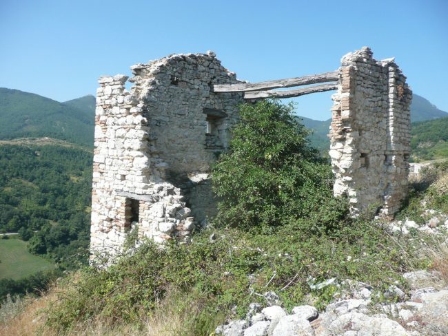 P1230955-650x488
