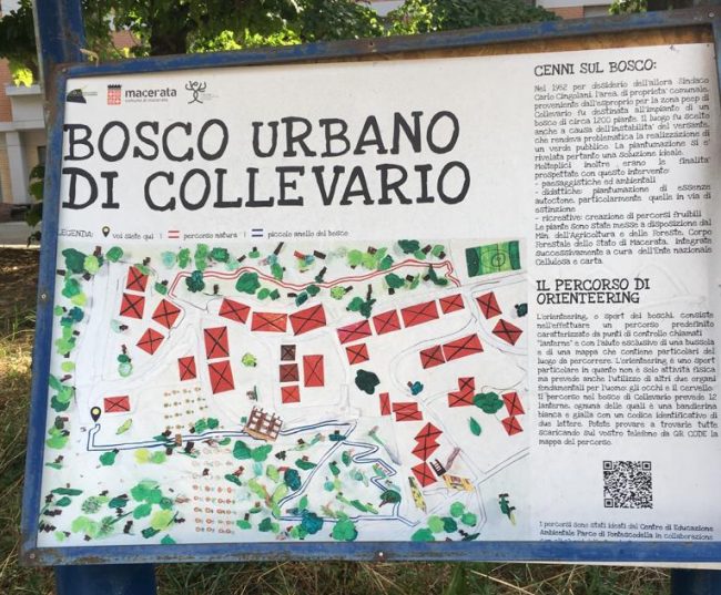 bosco-urbano-collevario-e1690035520490-650x537