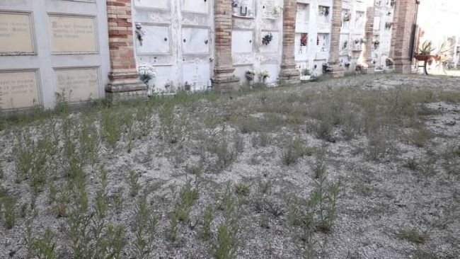 cimitero-porto-recanati-1-650x366