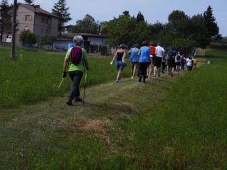 nordic-walking-treia