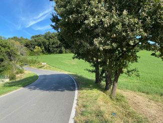incidente-bicicletta-corridonia-2-325x244