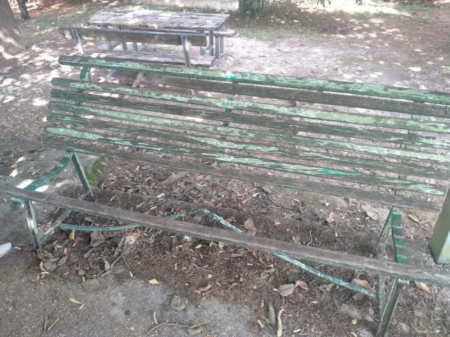 parco_via_filiberto-1-650x488