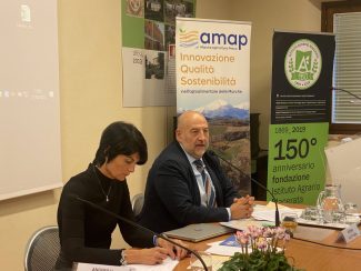 amap1-325x244