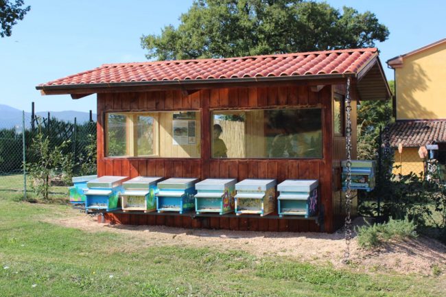 apiario-olistico-12-650x433