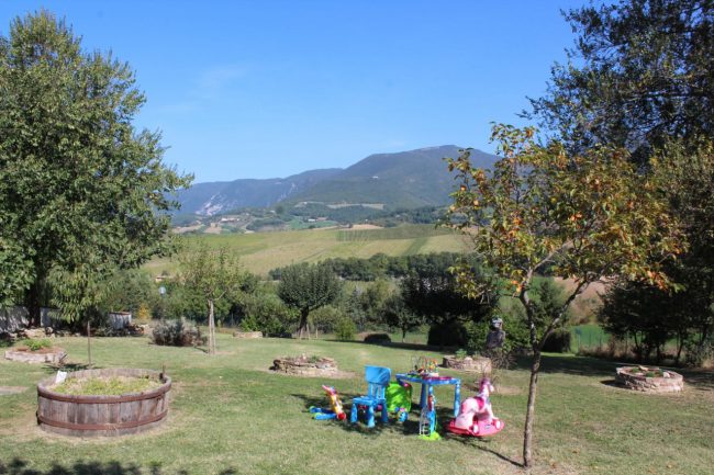 apiario-olistico-2-650x433