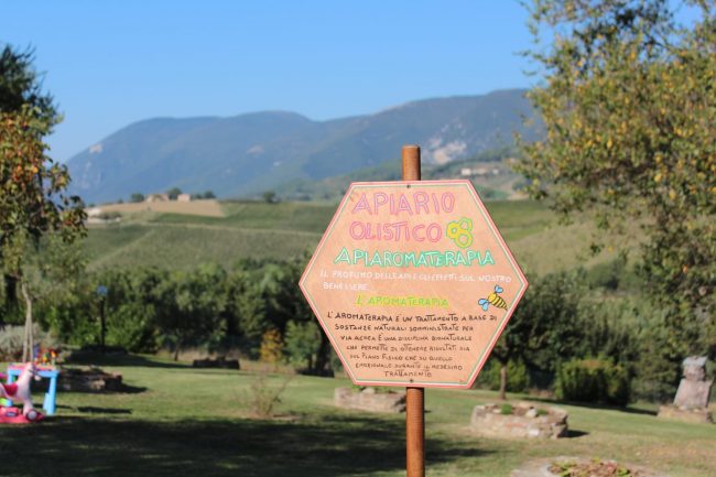 apiario-olistico-20-650x433