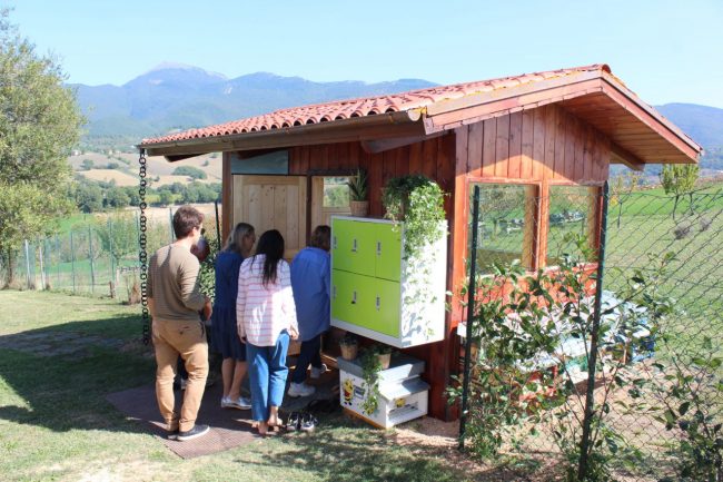 apiario-olistico-21-650x433