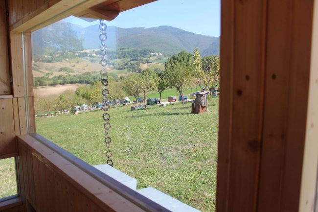 apiario-olistico-3-650x433