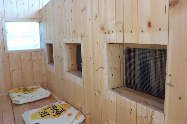 apiario-olistico-4-650x433