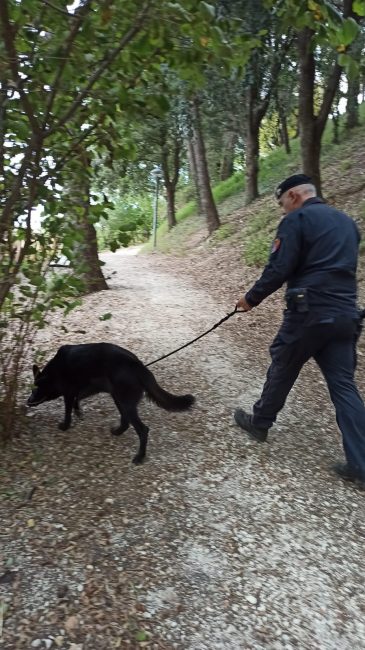 carab-parco-montecasssiano