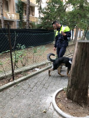 polizia-locale-controlli-1-300x400