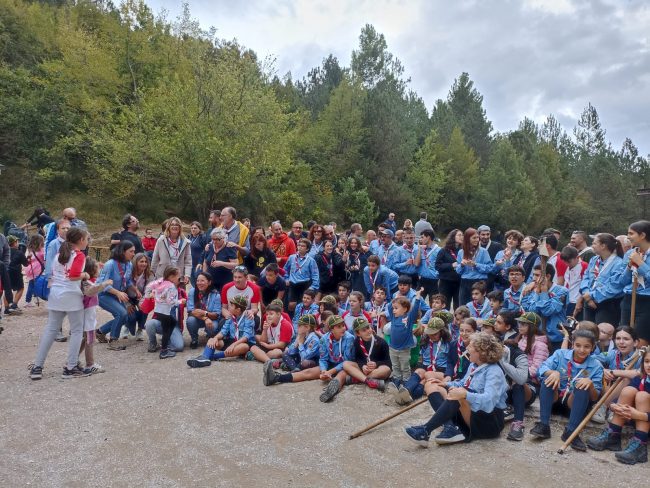 scout-mc3-2-650x488