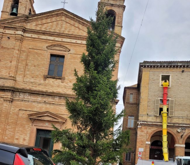 albero-natale-civitanova-alta1-e1701170952403-650x565